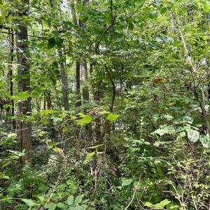 Photo #13 of SOLD property in 1450 Elgin Av , High Point, NC 1.9 acres