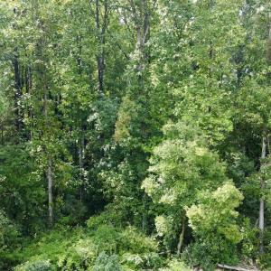 Photo #14 of SOLD property in 1450 Elgin Av , High Point, NC 1.9 acres