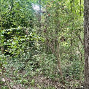 Photo #15 of SOLD property in 1450 Elgin Av , High Point, NC 1.9 acres