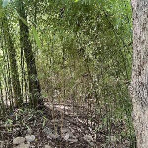 Photo #16 of SOLD property in 1450 Elgin Av , High Point, NC 1.9 acres