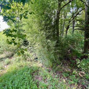 Photo #18 of SOLD property in 1450 Elgin Av , High Point, NC 1.9 acres