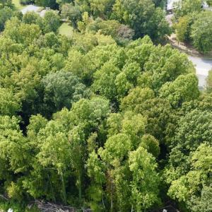 Photo #20 of SOLD property in 1450 Elgin Av , High Point, NC 1.9 acres
