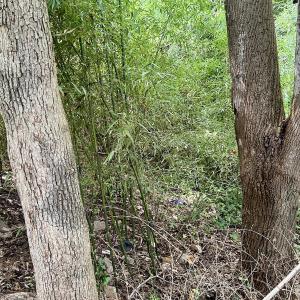 Photo #4 of SOLD property in 1450 Elgin Av , High Point, NC 1.9 acres