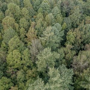 Photo #3 of SOLD property in 214 Buckingham Court, Lenoir, NC 0.7 acres