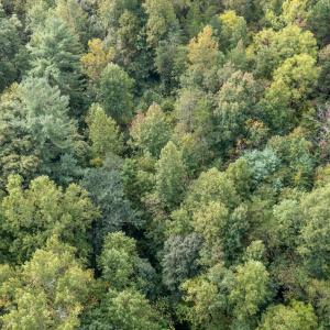 Photo #3 of SOLD property in 1105 Hillsboro Court, Lenoir, NC 0.9 acres