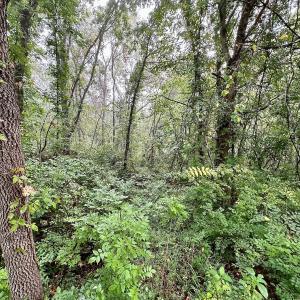 Photo #4 of SOLD property in 1105 Hillsboro Court, Lenoir, NC 0.9 acres