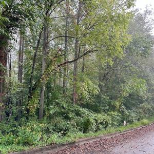 Photo #2 of SOLD property in 1203 Wiltshire Court, Lenoir, NC 0.9 acres