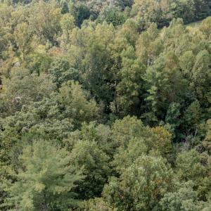Photo #3 of SOLD property in 1203 Wiltshire Court, Lenoir, NC 0.9 acres