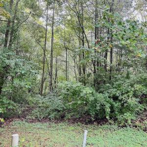 Photo #2 of SOLD property in 212 Buckingham Court, Lenoir, NC 0.9 acres