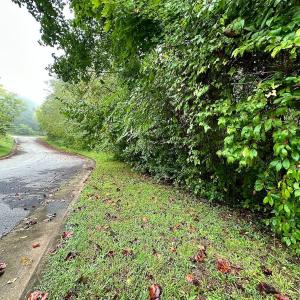 Photo #2 of SOLD property in 1205 Wiltshire Court, Lenoir, NC 1.0 acres