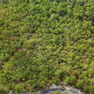 Photo #2 of SOLD property in 2917 N Magellan Blvd SE, Bolivia, NC 0.7 acres