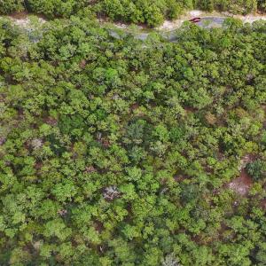 Photo #19 of SOLD property in 2917 N Magellan Blvd SE, Bolivia, NC 0.7 acres