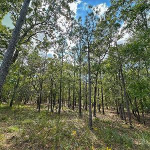 Photo #31 of SOLD property in 2917 N Magellan Blvd SE, Bolivia, NC 0.7 acres
