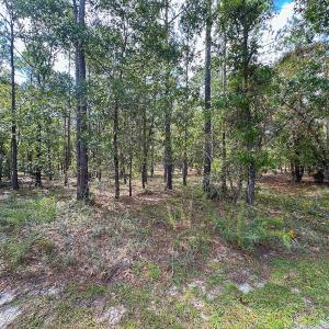 Photo #33 of SOLD property in 2917 N Magellan Blvd SE, Bolivia, NC 0.7 acres