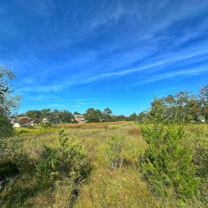 Photo #31 of SOLD property in 1207 Live Oak St., Beaufort, NC 0.5 acres