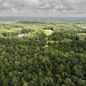 Photo #9 of Off Medoc Mountain Road, Enfield, NC 7.8 acres