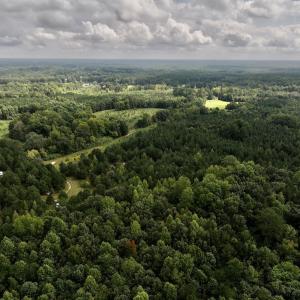 Photo #10 of Off Medoc Mountain Road, Enfield, NC 7.8 acres