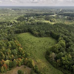Photo #13 of Off Medoc Mountain Road, Enfield, NC 7.8 acres