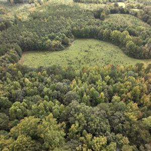 Photo #15 of Off Medoc Mountain Road, Enfield, NC 7.8 acres