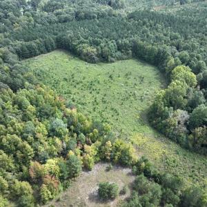 Photo #18 of Off Medoc Mountain Road, Enfield, NC 7.8 acres