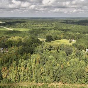 Photo #5 of Off Medoc Mountain Road, Enfield, NC 7.8 acres