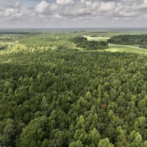 Photo #8 of Off Medoc Mountain Road, Enfield, NC 7.8 acres