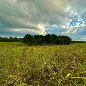 Photo #11 of SOLD property in Off Deer Run Road, Norwood, NC 17.0 acres