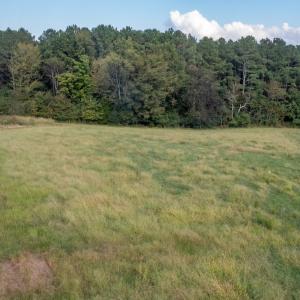 Photo #12 of SOLD property in Off Deer Run Road, Norwood, NC 17.0 acres