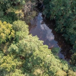 Photo #14 of SOLD property in Off Deer Run Road, Norwood, NC 17.0 acres
