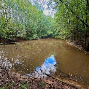 Photo #15 of SOLD property in Off Deer Run Road, Norwood, NC 17.0 acres