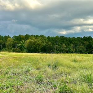 Photo #18 of SOLD property in Off Deer Run Road, Norwood, NC 17.0 acres