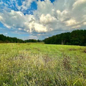 Photo #19 of SOLD property in Off Deer Run Road, Norwood, NC 17.0 acres
