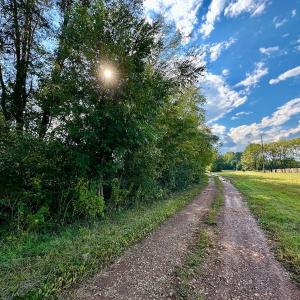 Photo #4 of SOLD property in Off Deer Run Road, Norwood, NC 17.0 acres