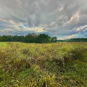 Photo #5 of SOLD property in Off Deer Run Road, Norwood, NC 17.0 acres