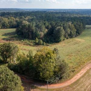 Photo #6 of SOLD property in Off Deer Run Road, Norwood, NC 17.0 acres
