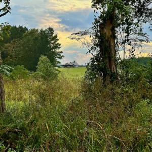 Photo #10 of SOLD property in Off Deer Run Road, Norwood, NC 17.0 acres