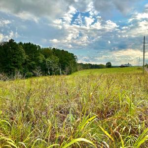 Photo #21 of SOLD property in Off Deer Run Road, Norwood, NC 17.0 acres