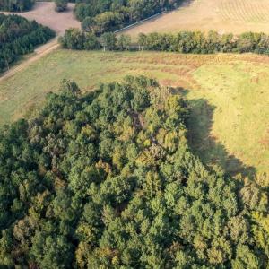 Photo #22 of SOLD property in Off Deer Run Road, Norwood, NC 17.0 acres