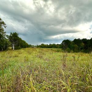 Photo #25 of SOLD property in Off Deer Run Road, Norwood, NC 17.0 acres