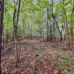 Photo #27 of SOLD property in Off Deer Run Road, Norwood, NC 17.0 acres