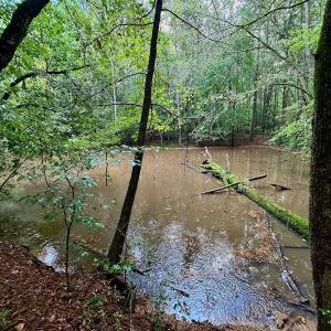 Photo #28 of SOLD property in Off Deer Run Road, Norwood, NC 17.0 acres