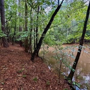 Photo #29 of SOLD property in Off Deer Run Road, Norwood, NC 17.0 acres