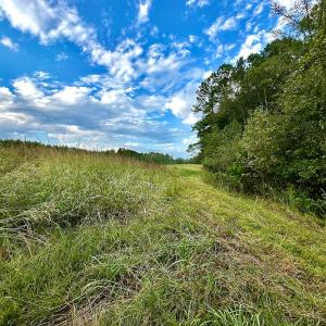 Photo #30 of SOLD property in Off Deer Run Road, Norwood, NC 17.0 acres