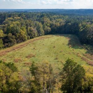 Photo #33 of SOLD property in Off Deer Run Road, Norwood, NC 17.0 acres