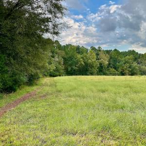 Photo #34 of SOLD property in Off Deer Run Road, Norwood, NC 17.0 acres