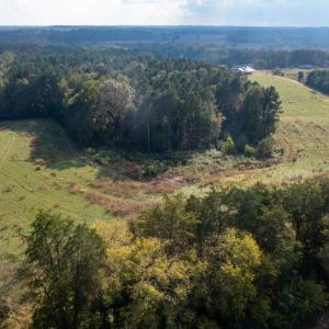 Photo #35 of SOLD property in Off Deer Run Road, Norwood, NC 17.0 acres