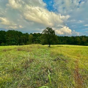 Photo #36 of SOLD property in Off Deer Run Road, Norwood, NC 17.0 acres