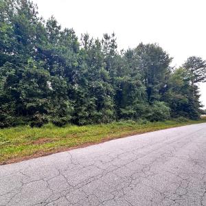 Photo #10 of SOLD property in Off Wakefield Rd. , Sedley, VA 14.1 acres