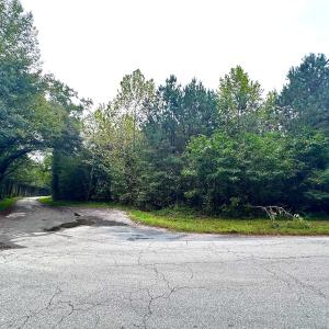 Photo #13 of SOLD property in Off Wakefield Rd. , Sedley, VA 14.1 acres