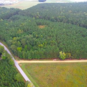 Photo #3 of SOLD property in Off Wakefield Rd. , Sedley, VA 14.1 acres